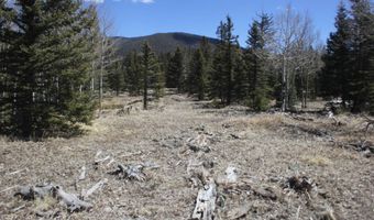 Lot 95 Elk Meadow, Angel Fire, NM 87718