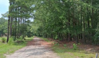 8070 Williford Rd, Adams Run, SC 29426