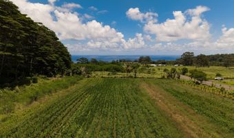 AKAKA FALLS ROAD, Honomu, HI 96728