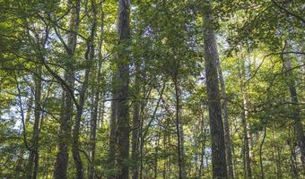 Bill Hubbard Rd, Braxton, MS 39044