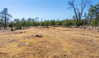 25150 Dersch Rd, Anderson, CA 96007