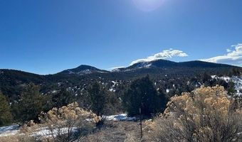 3586 Indian Wells Rd, Cotopaxi, CO 81223