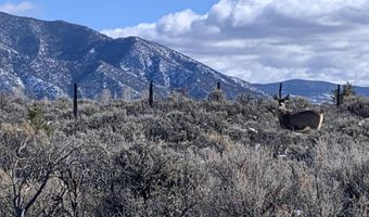Mariposa, Arroyo Seco, NM 87514