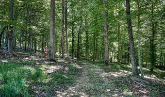 359 Allen Sells Ln, Alpine, TN 38543