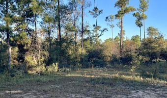 Pisgah Court, Alford, FL 32420