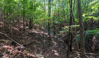 124 Cypress Dr, Alto, GA 30510