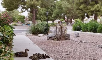 1517 S ASH Dr, Chandler, AZ 85286
