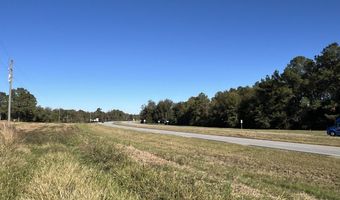 0 Tallahassee Hwy, Attapulgus, GA 39815