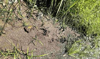 Denio Road, Barnet, VT 05821