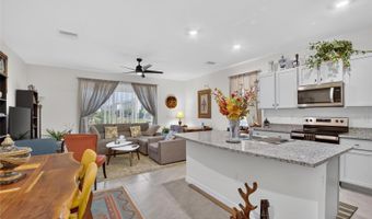 331 MANGROVE SHADE Cir, Apollo Beach, FL 33572