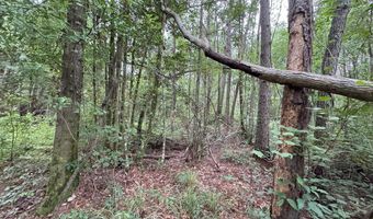 La Highway 442, Albany, LA 70711