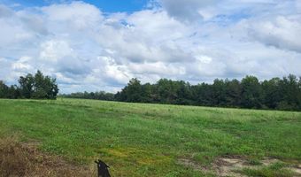 Woodham Rd lot 15, Ashford, AL 36312