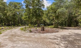 7340 21st Ave, Bell, FL 32619