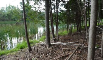 S Forest Lake, Alger, MI 48610