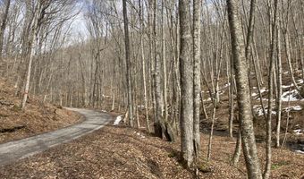 0 TBD Elleber Sods Rd, Bartow, WV 24920