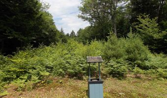 2584 NH Route 16 Hwy, Albany, NH 03818