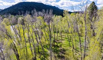 65 Pinestone Dr, Bayfield, CO 81122