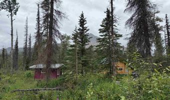 295 CHAVEY Ct, Cantwell, AK 99729