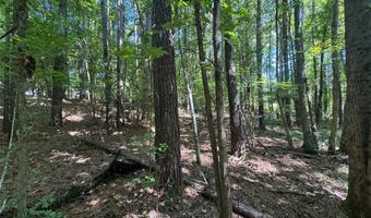 63 Hickory Creek Ln, Acworth, GA 30101