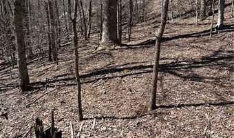Tdb Nettles Ridge Road, Banner Elk, NC 28604