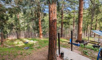 9020 Pine Ave, Beulah, CO 81023
