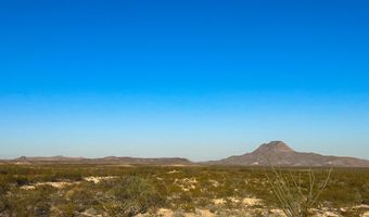 25-3 S Hwy 118, Alpine, TX 79830