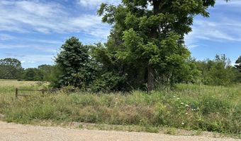 676 County Road 403, Alton, MO 65606