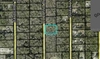 1817 COCONUT Blvd, Bunnell, FL 32110