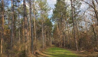 U.S. Highway 51, Bogue Chitto, MS 39629