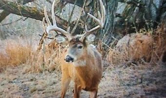 N3953-89 Bear Pen Road, Arkansaw, WI 54721