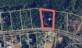 270 Francis Marion Dr, Georgetown, SC 29440