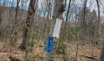 0 Clarks/Woodland Trl 409-4, Alexandria, NH 03220