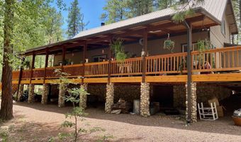 8 County Road 2083, Alpine, AZ 85920