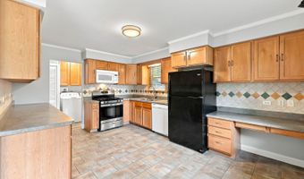 1113 S Haddow Ave, Arlington Heights, IL 60005