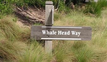 207 Whale Head Way, Bald Head Island, NC 28461
