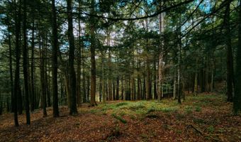 0 Weidick Rd, Andes, NY 13731