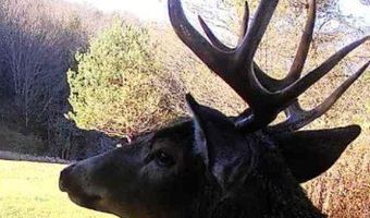 Rt-417, Andover, NY 14806
