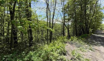 Bear Hill Road, Brookfield, VT 05036