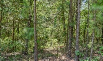 5 N Hall Rd, Antlers, OK 74523