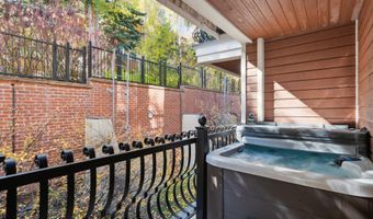 415 E Dean St Unit 42 Wks 26 & 27, Aspen, CO 81611