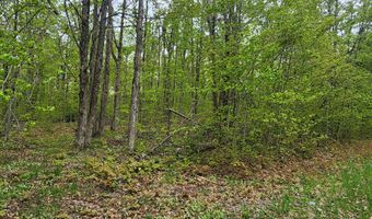 Valleyridge Circle, Alba, MI 49611