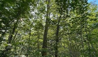 Lot 53 Robb Hill Road, Alexander, ME 04694