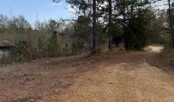 393 SW Cripple Ln, Brookhaven, MS 39601