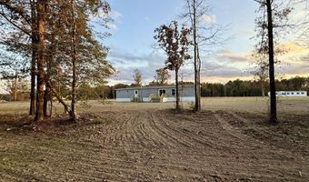 2037 Ceasar Trl, Bogue Chitto, MS 39629