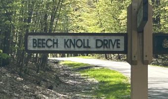 Lot 21 Beech Knoll Drive, Bellaire, MI 49615