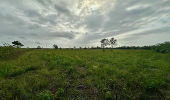6742 Eagle Rd, Anahuac, TX 77514
