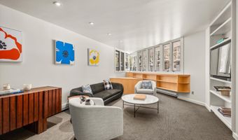 506 W Hallam St, Aspen, CO 81611