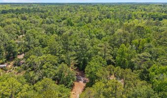 4814 NW 244 Ave, Alachua, FL 32615