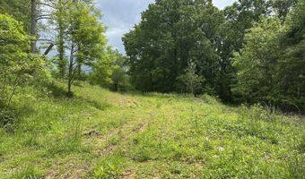 8537 Wood Rd, Albany, OH 45710