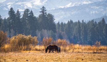 14012 Hawks Beard GM168, Black Butte Ranch, OR 97759